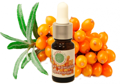 экстракт облепихи