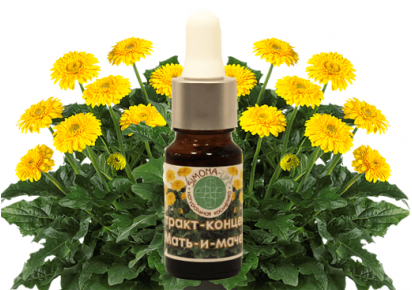 купить экстракт мать и мачехи экстракт мать и мачехи