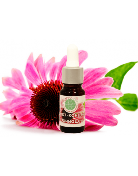 Экстракт концентрат эхинацеи TEST Product Title Экстракт концентрат эхинацеи TEST Product Alt