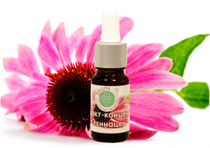 эхинацея экстракт цена экстракт эхинацеи