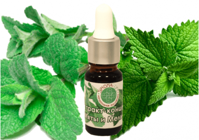 экстракт мяты перечной купить экстракт мяты
