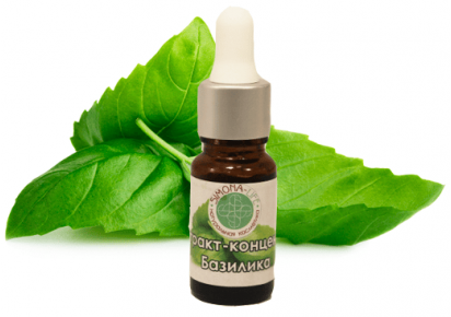 базилик полезные свойства базилик для волос