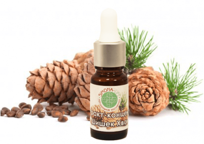 экстракт хвои