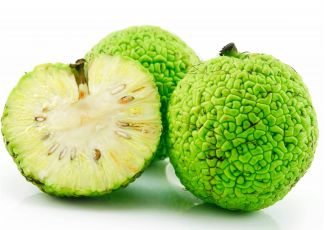 Экстракт концентрат Адамовое яблоко