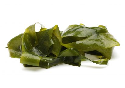 екстракт ламінарії екстракт ламінарії