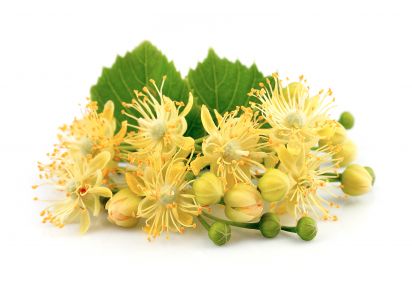 Екстракт Екстракт