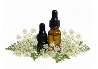 Ефірна олія дикої моркви NOW Foods Ефірна олія дикої моркви NOW Foods