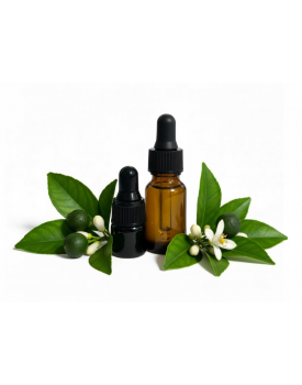 Эфирное масло петитгрейн TEST Product Title Эфирное масло петитгрейн TEST Product Alt