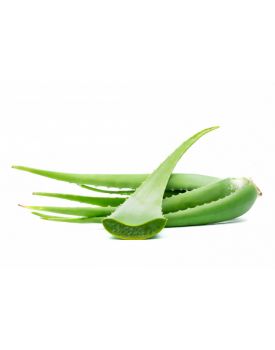 Гидролат алоэ TEST Product Title Гидролат алоэ TEST Product Alt