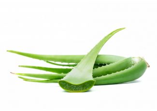 Гидролат алоэ Гидролат алоэ