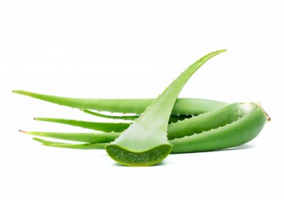 гидролат алоэ купить