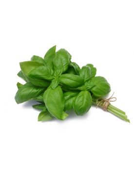 Гидролат базилика TEST Product Title Гидролат базилика TEST Product Alt