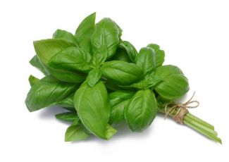 Гидролат базилика Гидролат базилика