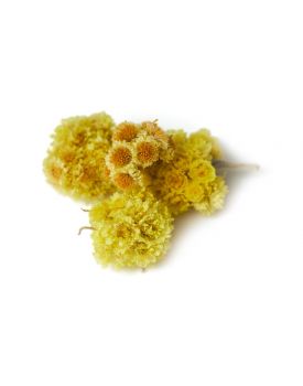 Гидролат бессмертника TEST Product Title Гидролат бессмертника TEST Product Alt