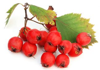 Гидролат боярышника Гидролат боярышника