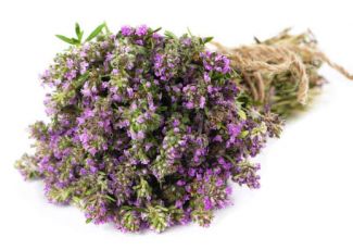 Гидролат чабреца Гидролат чабреца