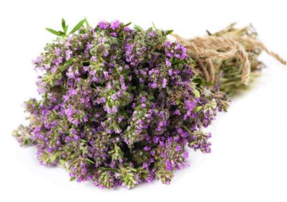 гидролат чабреца свойства гидролат чабреца