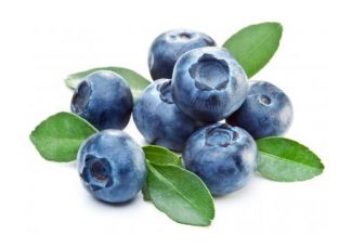 Гидролат черники Гидролат черники