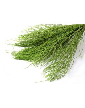 100 мл флакон + спрей, Гидролат хвоща полевого, 8402 TEST Product Title 100 мл флакон + спрей, Гидролат хвоща полевого, 8402 TEST Product Alt