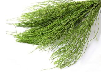 Гидролат хвоща полевого Гидролат хвоща полевого