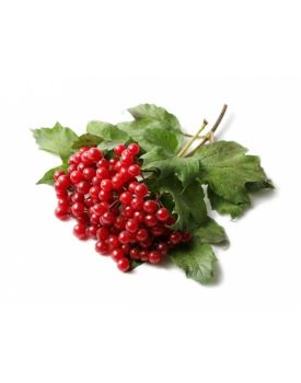 Гидролат калины TEST Product Title Гидролат калины TEST Product Alt