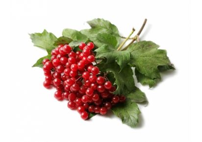 гидролат для сужения пор гидролат калины