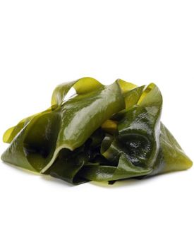 Гидролат ламинарии TEST Product Title Гидролат ламинарии TEST Product Alt