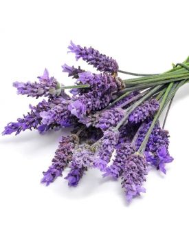 Гидролат лаванды TEST Product Title Гидролат лаванды TEST Product Alt