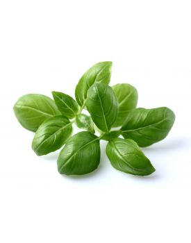 Гидролат лимонного базилика TEST Product Title Гидролат лимонного базилика TEST Product Alt