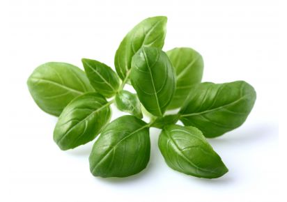 гидролат базилика