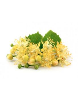 Гидролат липы TEST Product Title Гидролат липы TEST Product Alt