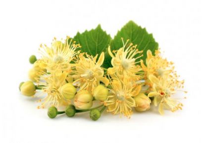 гидролат липы купить