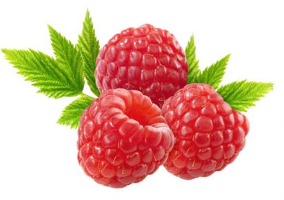 купить гидролат малина гидролат малины