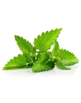 Гидролат мяты и мелисы TEST Product Title Гидролат мяты и мелисы TEST Product Alt