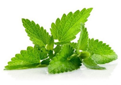 гидролат мяты гидролат мяты отзывы