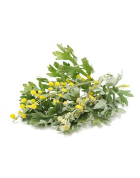 Гидролат полыни TEST Product Title Гидролат полыни TEST Product Alt