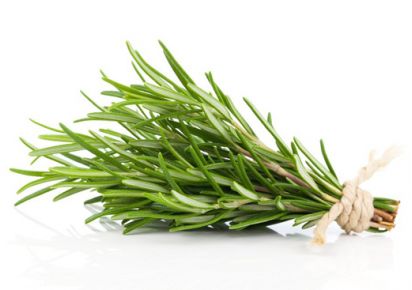 гидролат розмарина купить киев гидролат розмарина