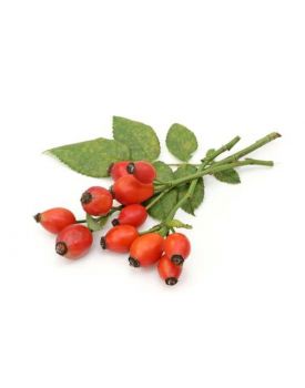 Гидролат шиповника TEST Product Title Гидролат шиповника TEST Product Alt