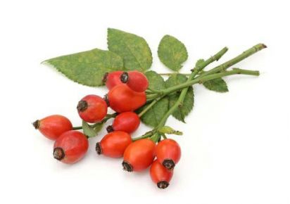 гидролат шиповника свойства гидролат шиповника