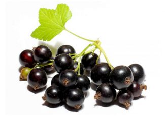 Гидролат смородины Гидролат смородины