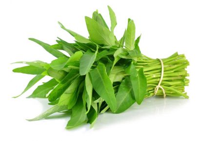 гидролат усьмы купить гидролат усьмы