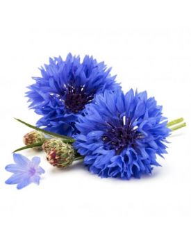 Гидролат василька TEST Product Alt