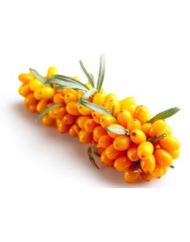 Гидролат ягод облепихи TEST Product Title Гидролат ягод облепихи TEST Product Alt