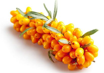 гидролат облепихи отзывы гидролат облепихи