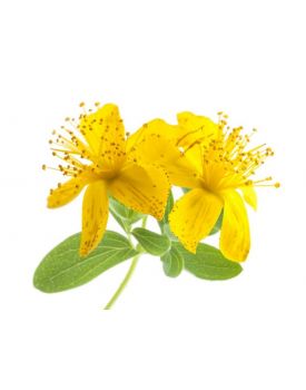 Гидролат зверобоя TEST Product Title Гидролат зверобоя TEST Product Alt