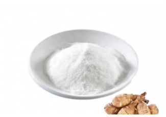 Инулин из цикория Инулин из цикория