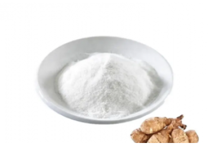 Інулін — пребіотик з цикорію для здоров’я кишківника Інулін з цикорію в порошку, натуральний пребіотик