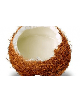 Кокосовая паста TEST Product Title Кокосовая паста TEST Product Alt