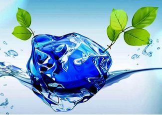 Омолоджуюча квіткова вода Омолоджуюча квіткова вода