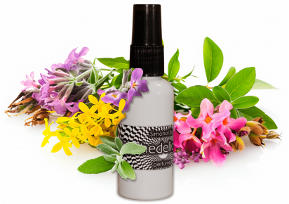 парфюмы версаче женские купить парфюмы женские